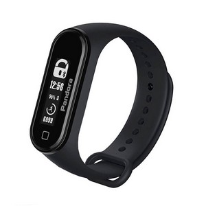 Pandora Band